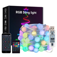 USB Weihnachten Lichterkette Bluetooth Musik APP Fernbedienung DC5V WS2812B Party Hochzeit Garten Hinterhof Stern Rugby Erdbeeren